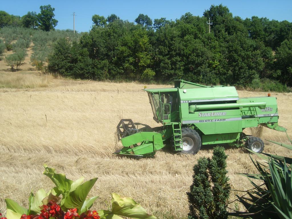 فيلا Giano dellʼUmbriaفي Fattoria Del Quondam المظهر الخارجي الصورة